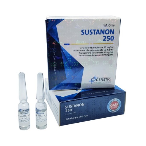 Sustanon 250 Amp Sustanon 250 Amp