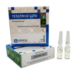 Testorox C250 Amp Testorox C250 Amp