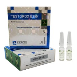 Testorox E250 Amp Testorox E250 Amp