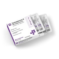 Testosterone-E 300 (Ampoules)