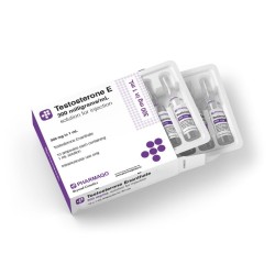 Testosterone-E 300 (Ampoules)