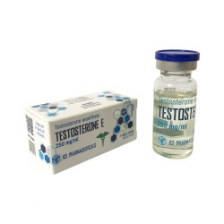 Testosterone E Testosterone E
